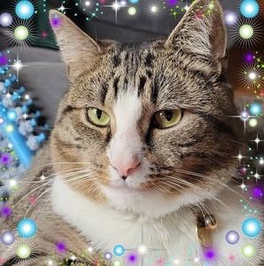 Meet your Posher, Candace